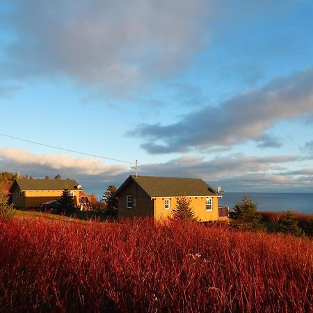 Les Chalets Brise-De-Mer Sainte-Therese-de-Gaspe Exteriér fotografie