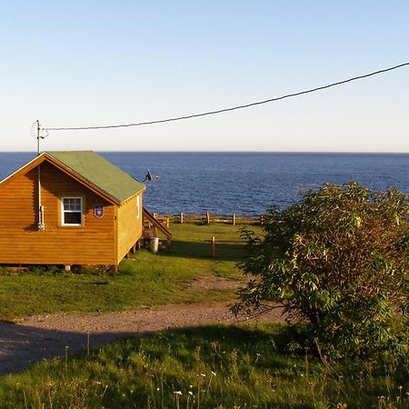 Les Chalets Brise-De-Mer Sainte-Therese-de-Gaspe Exteriér fotografie