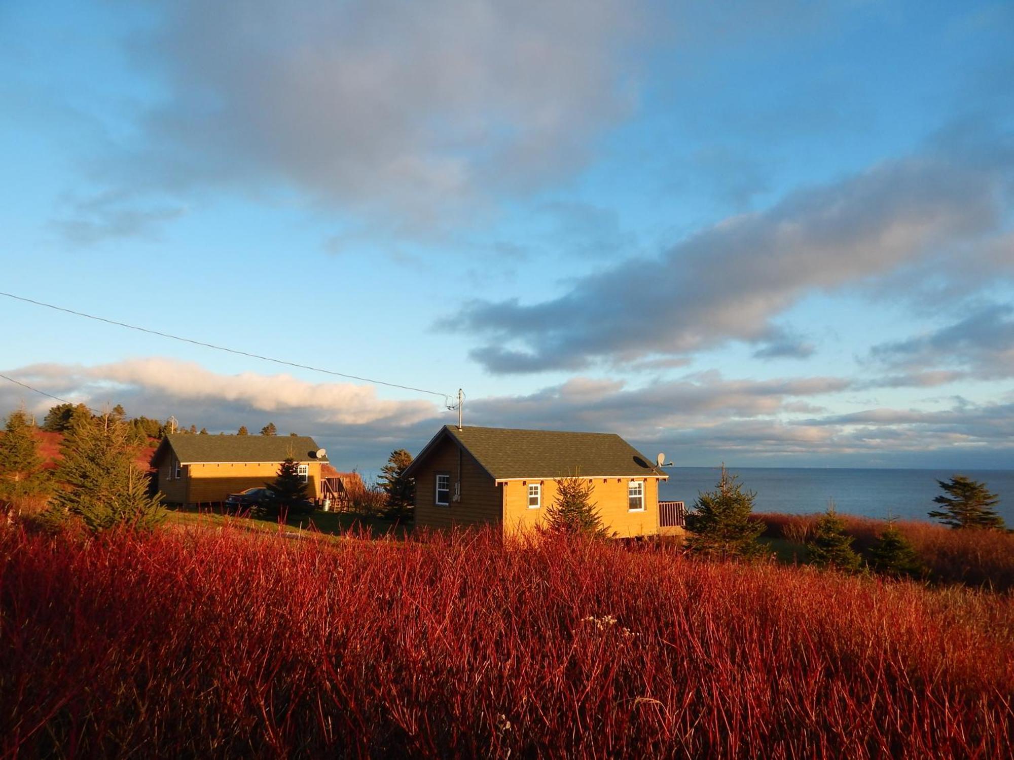 Les Chalets Brise-De-Mer Sainte-Therese-de-Gaspe Exteriér fotografie