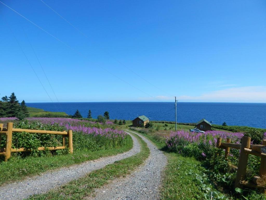 Les Chalets Brise-De-Mer Sainte-Therese-de-Gaspe Exteriér fotografie