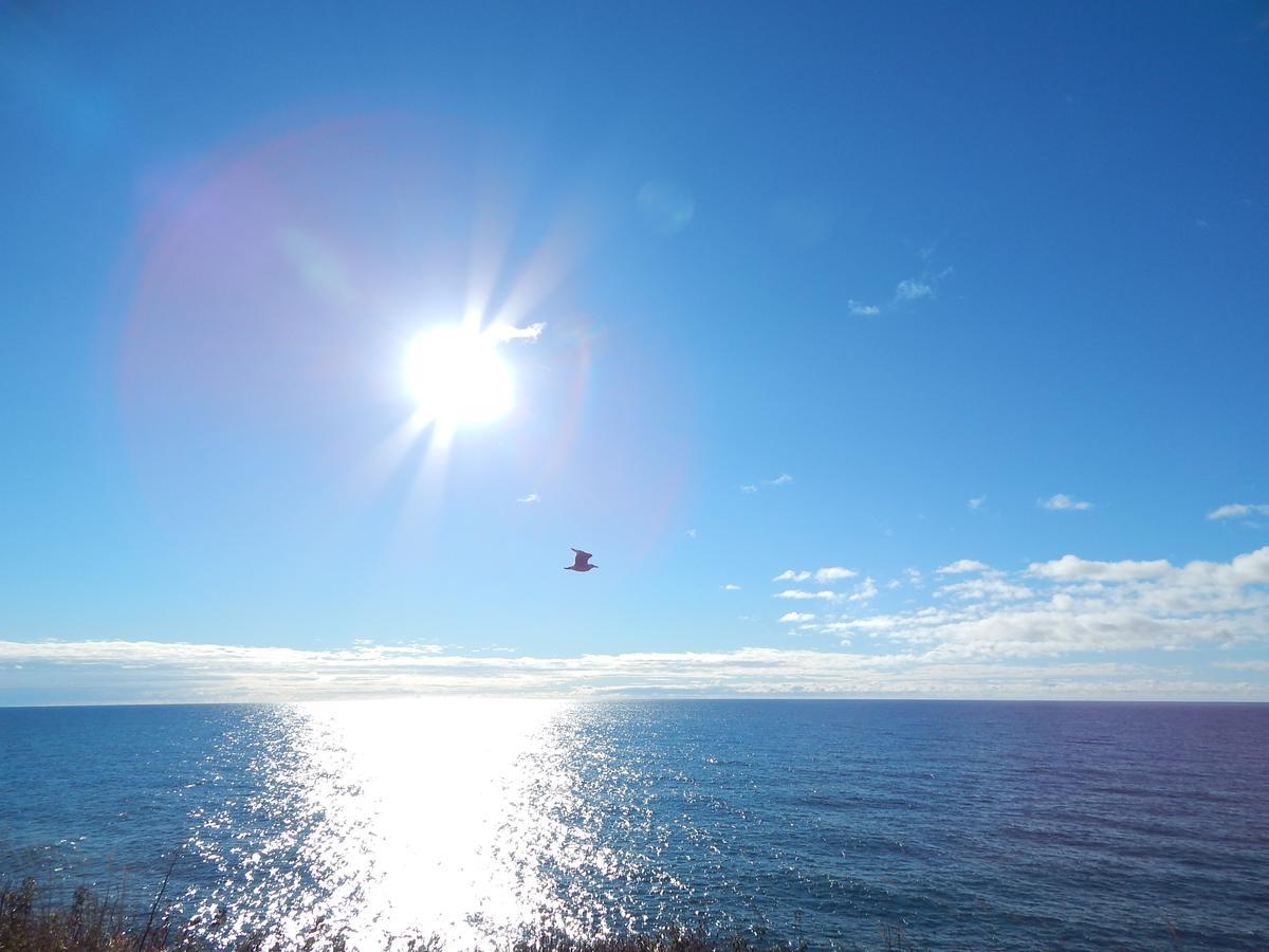 Les Chalets Brise-De-Mer Sainte-Therese-de-Gaspe Exteriér fotografie