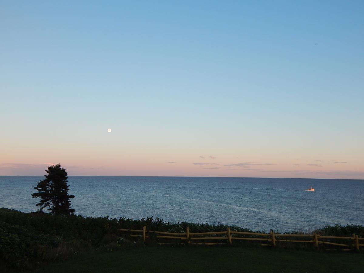 Les Chalets Brise-De-Mer Sainte-Therese-de-Gaspe Exteriér fotografie